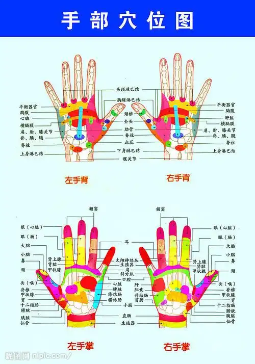 手部穴位图片