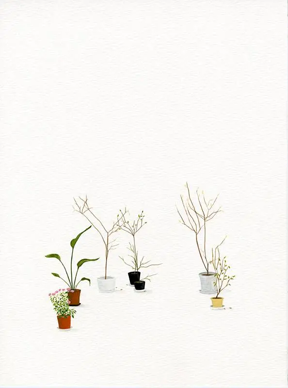 carrie marill 清新干净的手绘艺术 自然 简约 清新 水彩 手绘