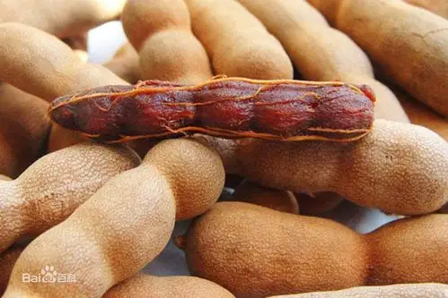 写美篇功效作用 酸角,主产于福建,台湾,广东,海南,广西,云南等地,为