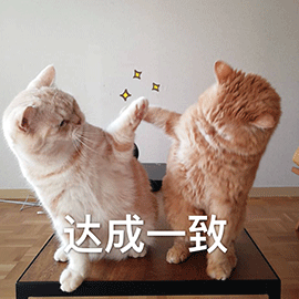 一致的图片_一致的动态图_一致的表情包gif动图下载_soogif