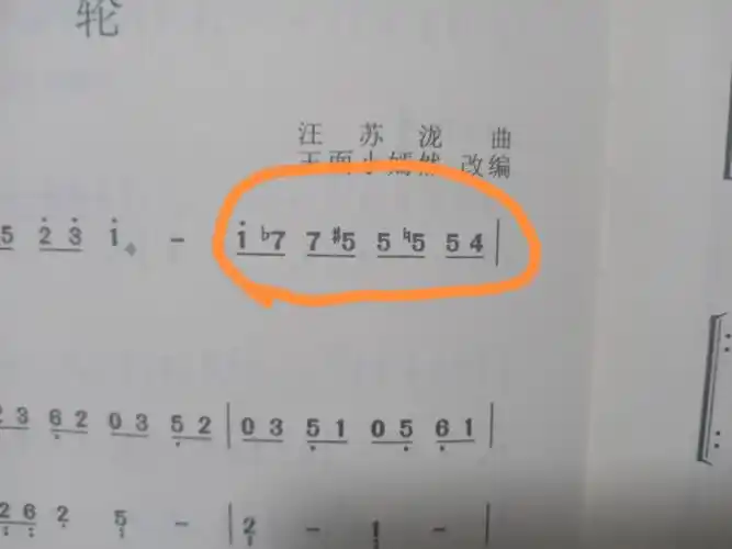 会古筝的姐妹拜托了61030706610614