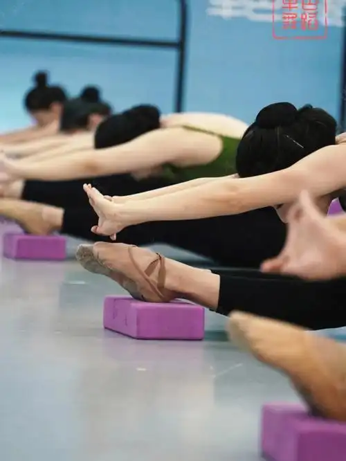 先压腿还是先练腰舞蹈基本功的正确顺序