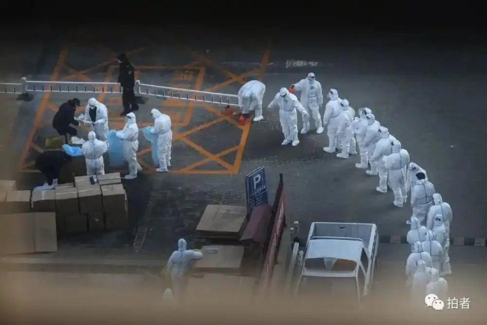 25组照片,俯视疫情!