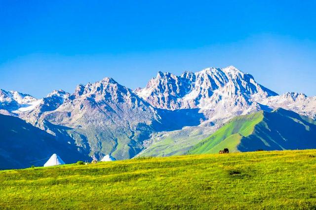 天苍苍,野茫茫,风吹草地见牛羊,夏季最美的景色,要说还是新疆一碧万顷