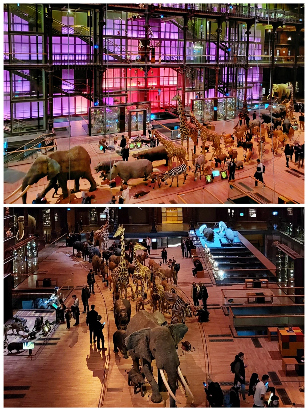 原来是熏死我0909一进去博物馆大门,就扑面而来一股屎味,眼睛还没