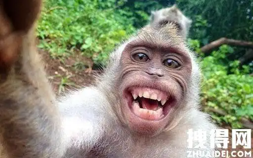 一张图片笑死10亿人 背后真相实在让人惊愕