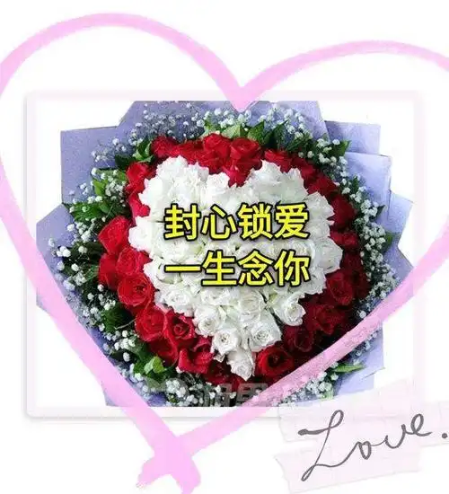 遇见你,真好,封心锁爱,一生想你