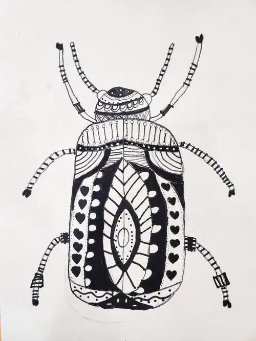 《甲壳虫》艺多多艺术周日线描班