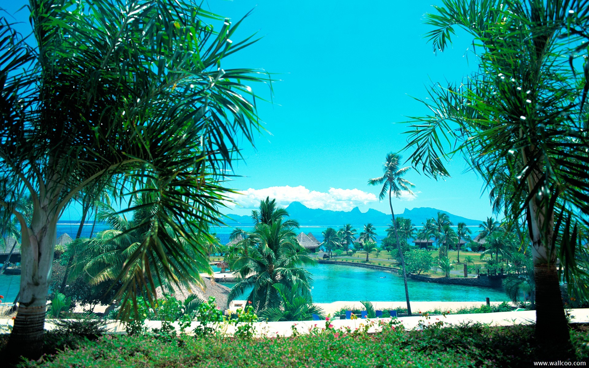 精选马尔代夫风景图片高清桌面壁纸下载