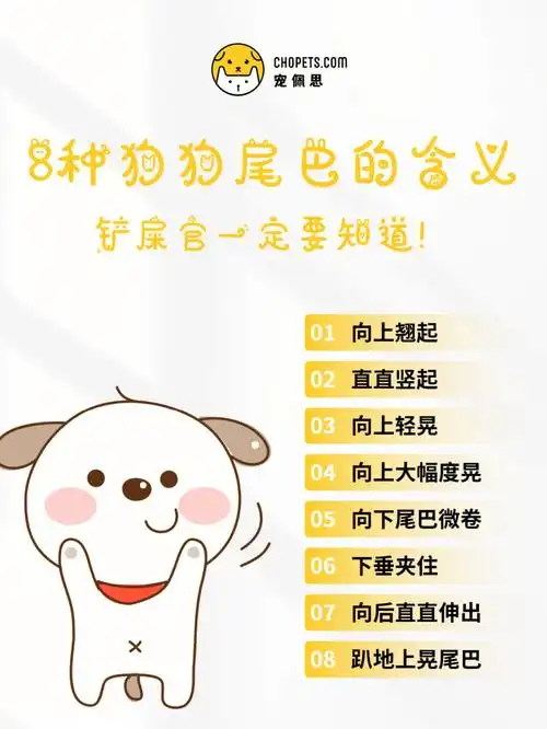 养狗要知道8种狗狗尾巴的不同含义