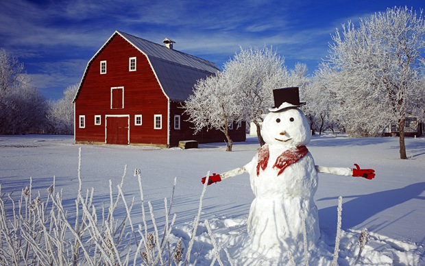 冬天雪人雪景唯美图片