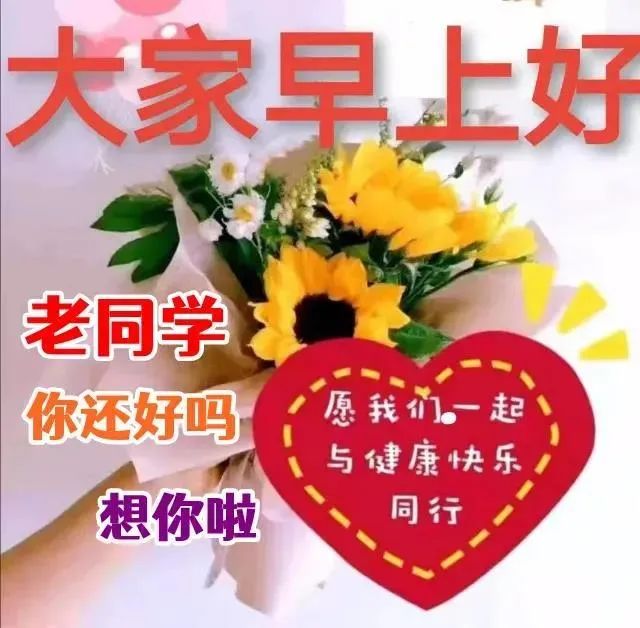 原创8张夏日清晨创意好看老同学早上好图片暖心的老同学早安问候祝福