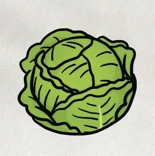 简笔画教程  #儿童简笔画