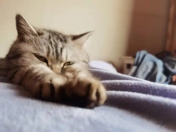 又是宅家的一天