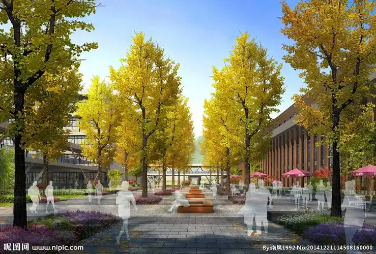树阵广场效果图
