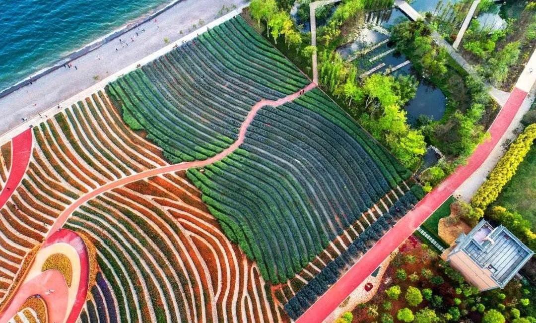 康养文旅丨抚仙湖广龙小镇诠释健康生活旅居目的地