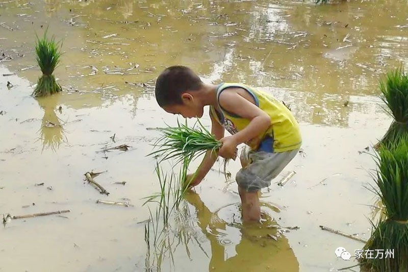 农村孩子的童年回忆!你还记得几样?