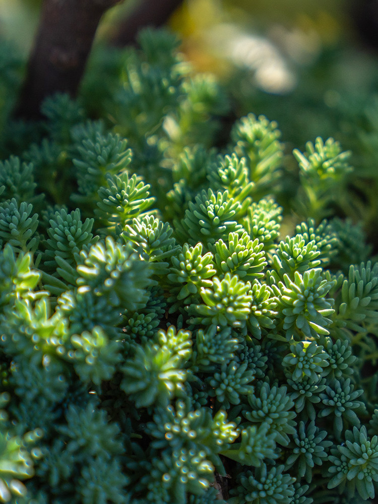 万年优惠专场,最新打折特卖商品,淘宝天猫优惠券领取-35优惠券网站
