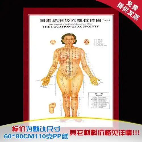 标准针灸穴位挂图传统中医文化展示海报人体穴位经络墙贴画