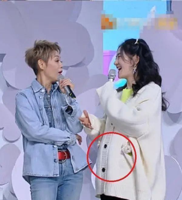 谢娜官宣怀二胎!