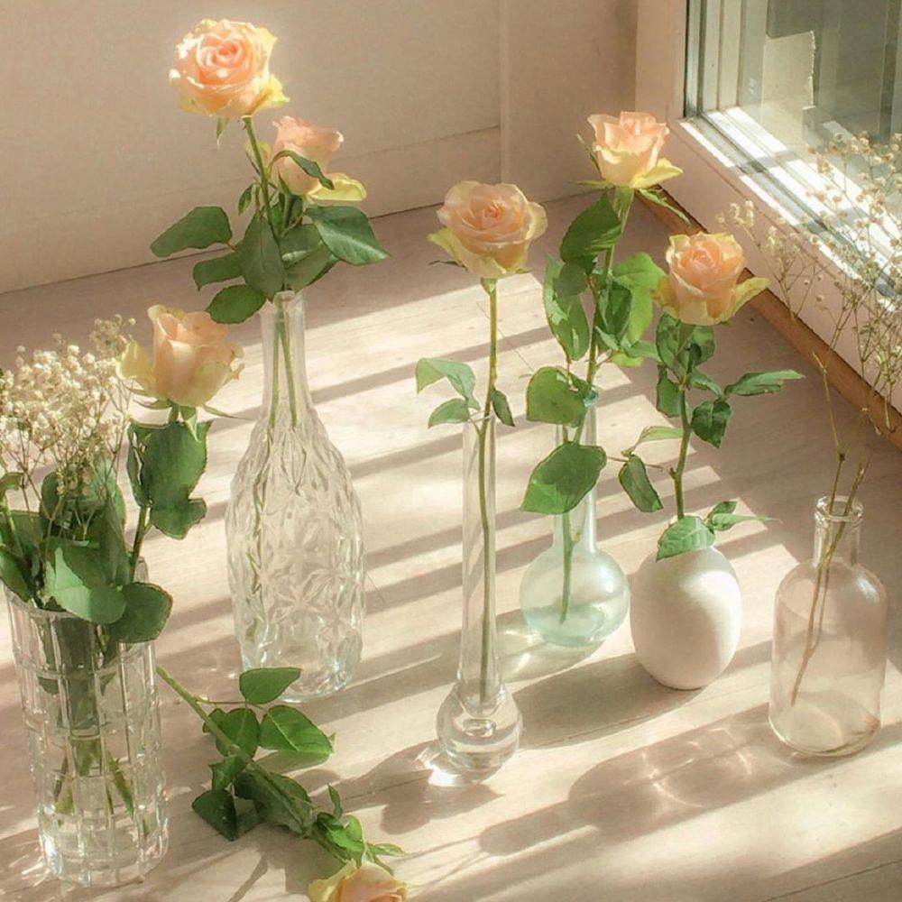 朋友圈背景图|精选文艺,小清新系列