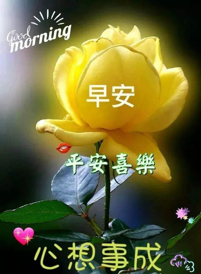 2019特漂亮的清晨早上好问候图片最新版早上好短信问候祝福语大全