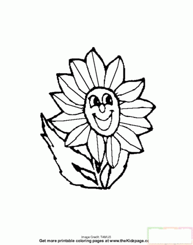 午时花怎么画花简笔画