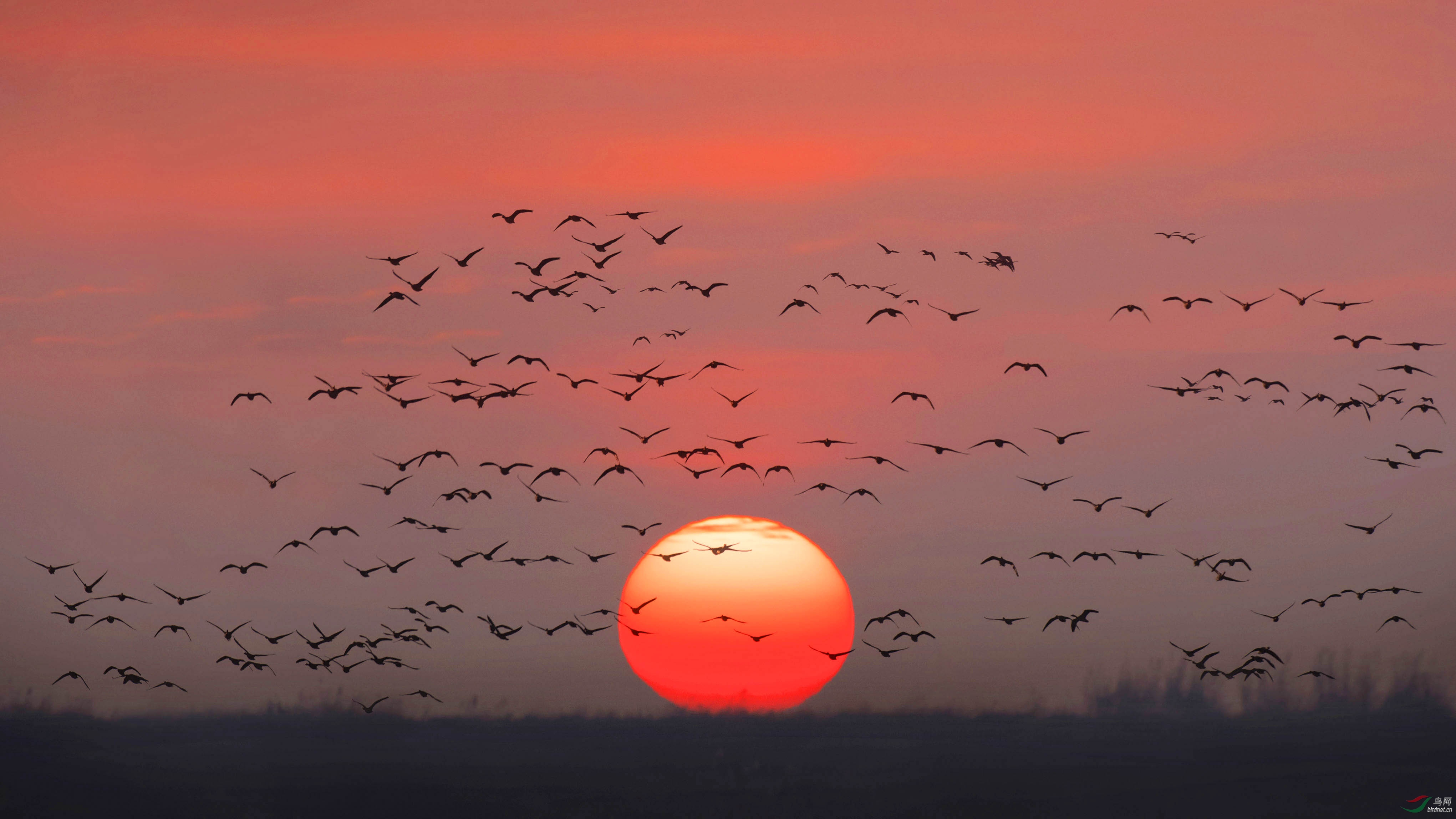 太阳升起的时候