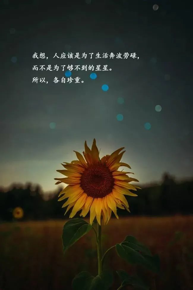 2021暖人心窝的经典语录句句走心挑一句话致自己