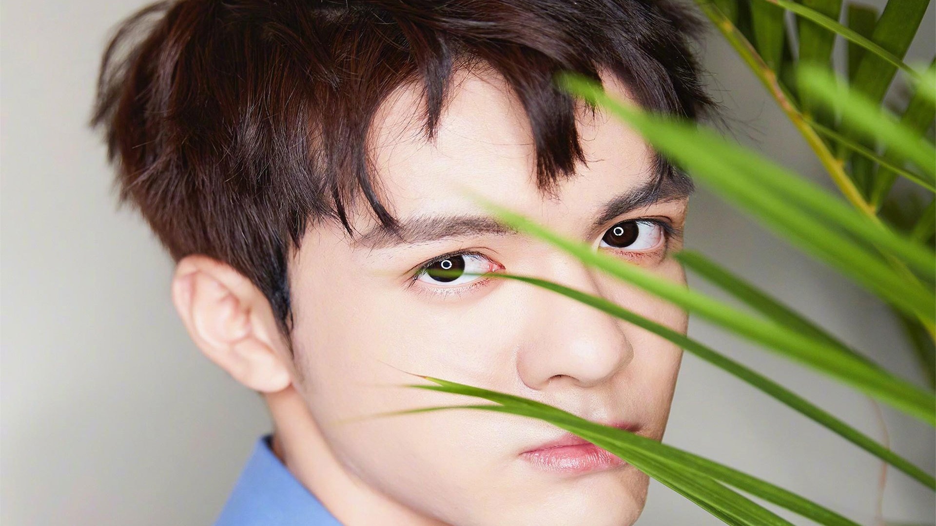 明星风尚曾舜晞壁纸