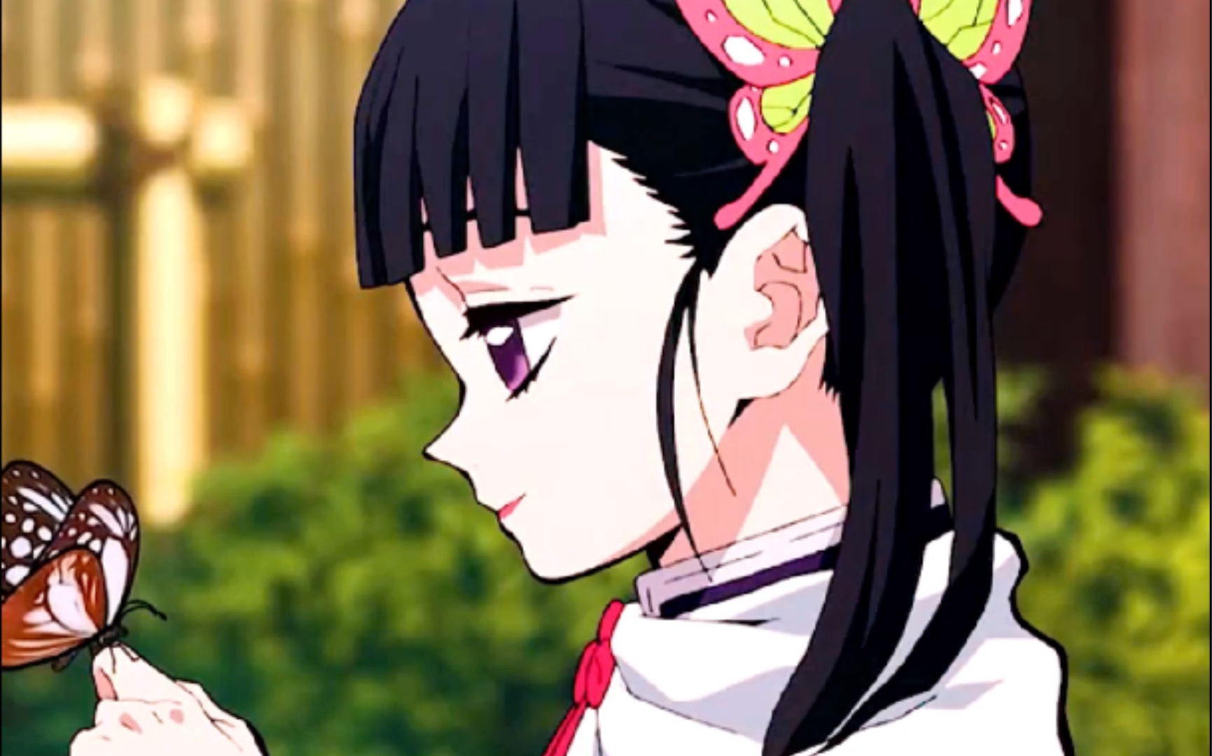 蝴蝶 香奈乎 鬼灭之刃