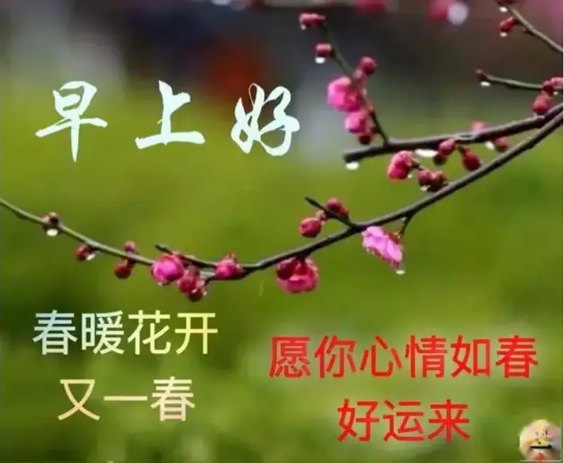 原创7张特别漂亮的新版春日暖心早上好图片大全早晨好阳光问候语图片