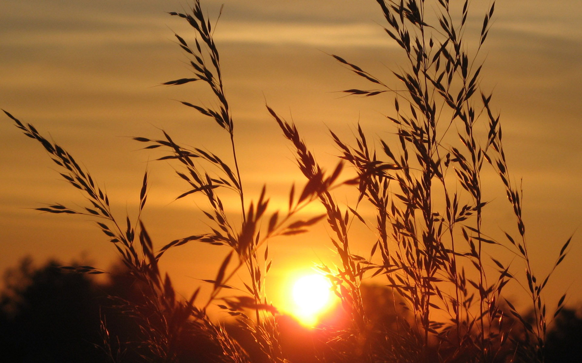 高清唯美夕阳风景图片桌面壁纸