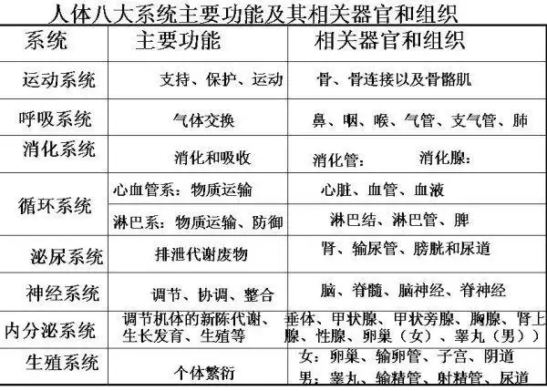 人体八大系统发病顺序千万别越过第5道门槛