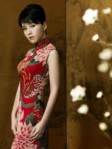 【引用】小女人 何琳