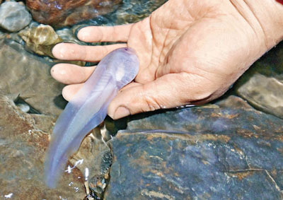 【打印】 香港文汇报