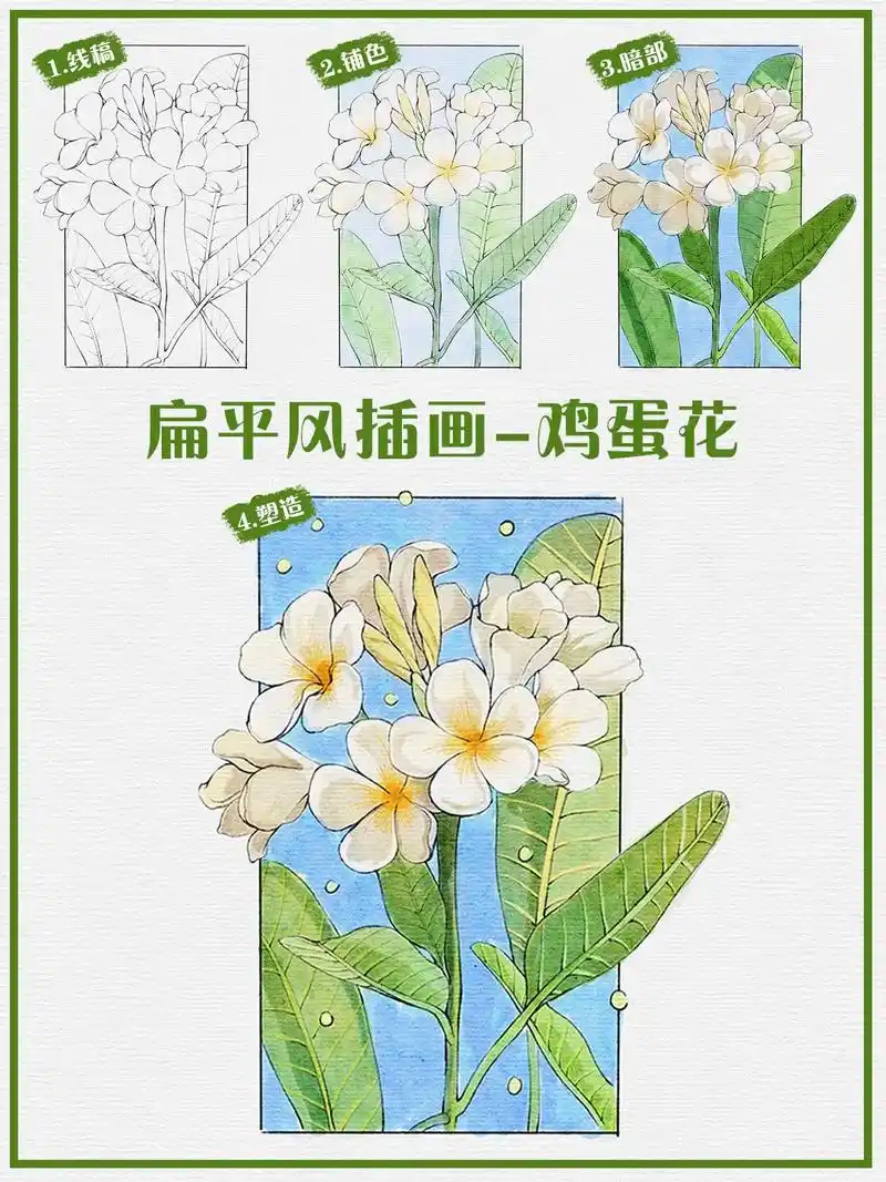扁平风插画超简单的鸡蛋花画法教程