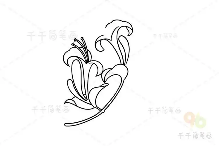 金银花简笔画教程