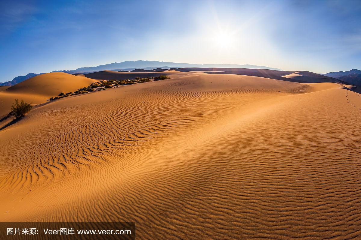 沙漠中的一个炎热多风的早晨