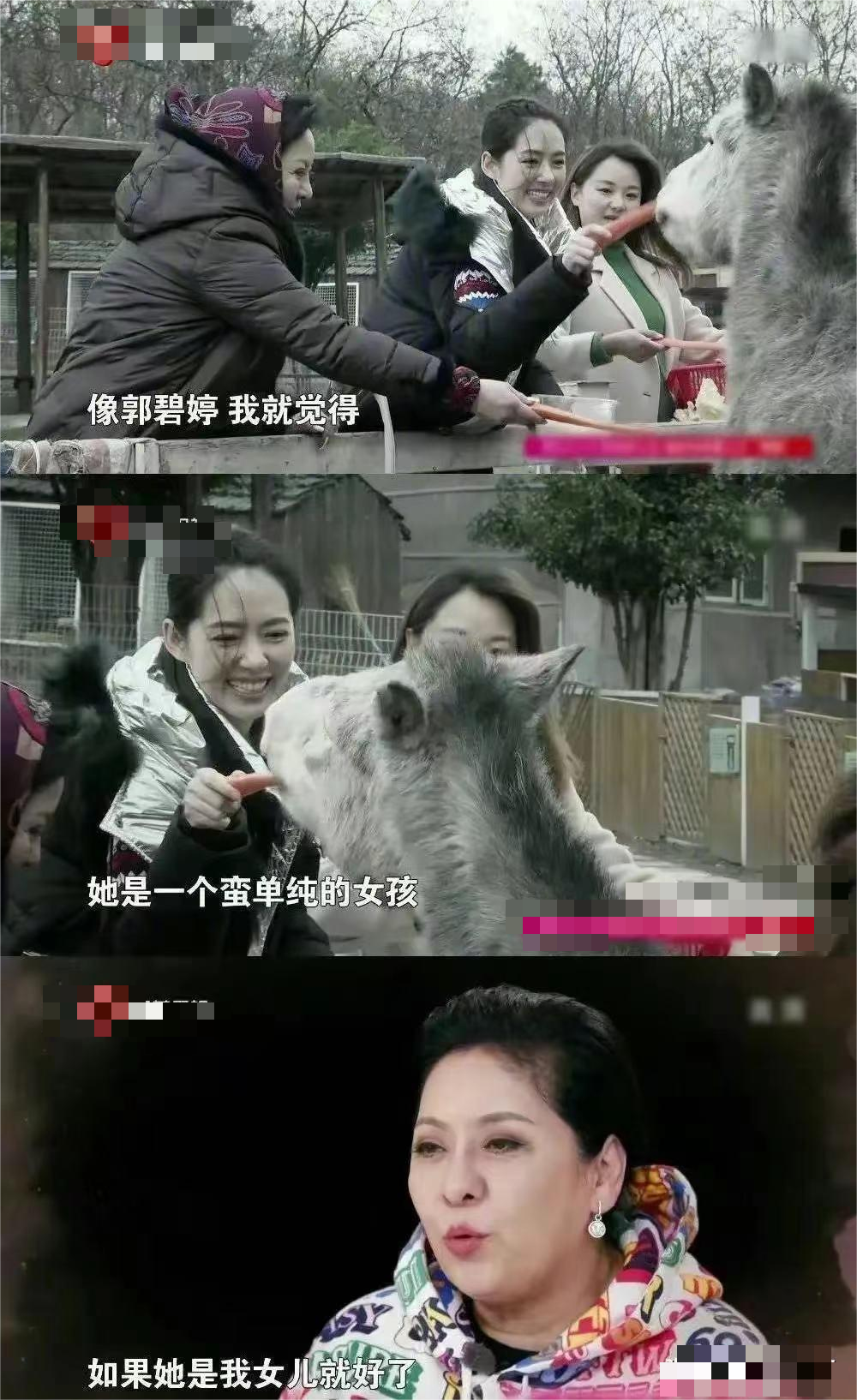 回顾郭碧婷从益达女孩到生育机器或许这是入豪门的代价