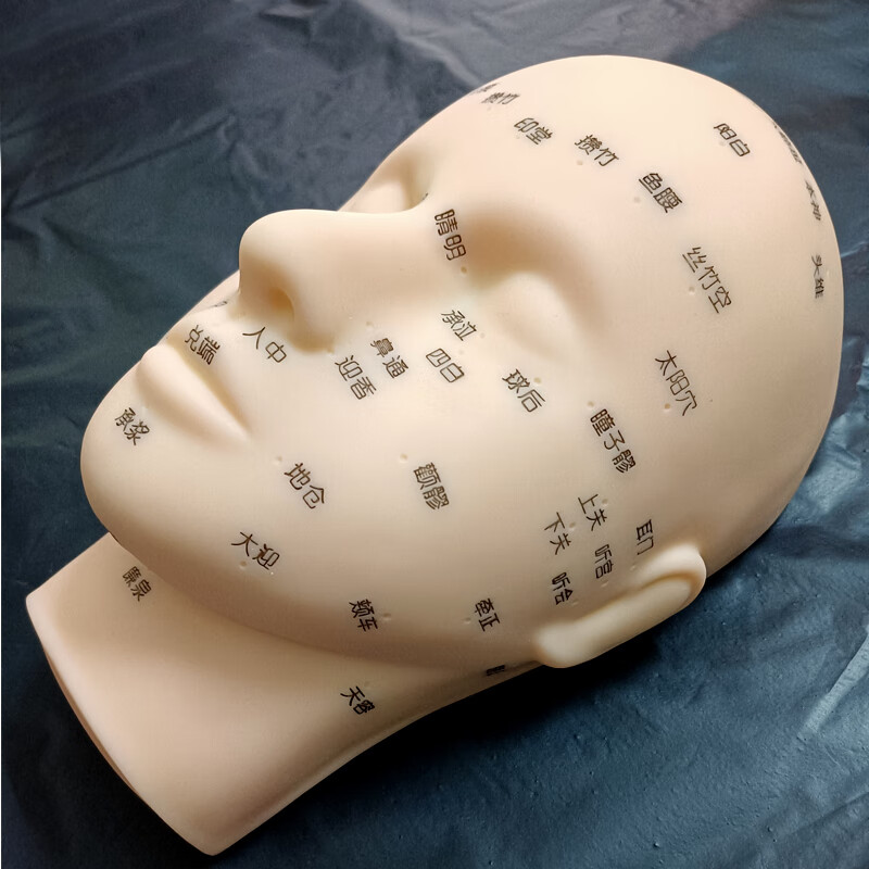 头模练习按摩脸部女穴位假人头模软质光头模特头美容院专用模型软质