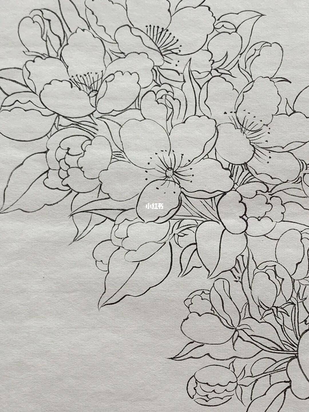 画画  #白描#国画工笔