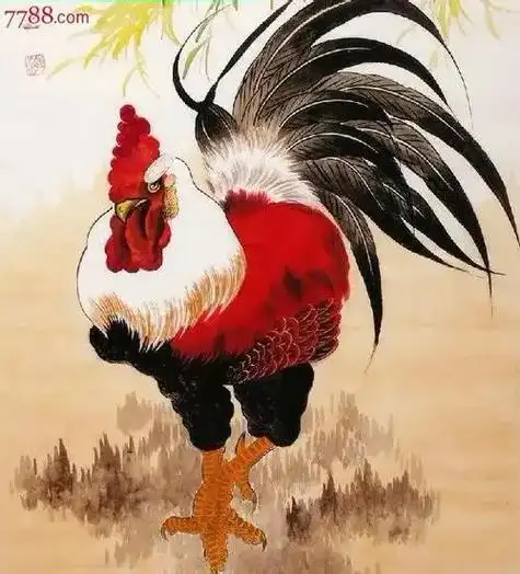 我的抖音生活日记 #工笔画公鸡 - 抖音