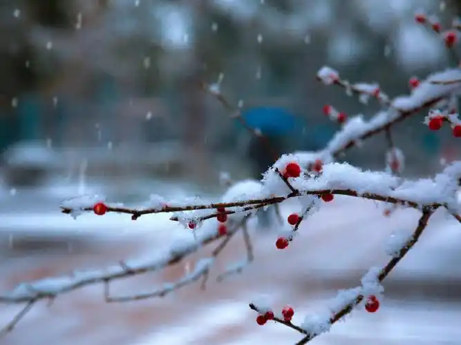 高清雪景摄影图