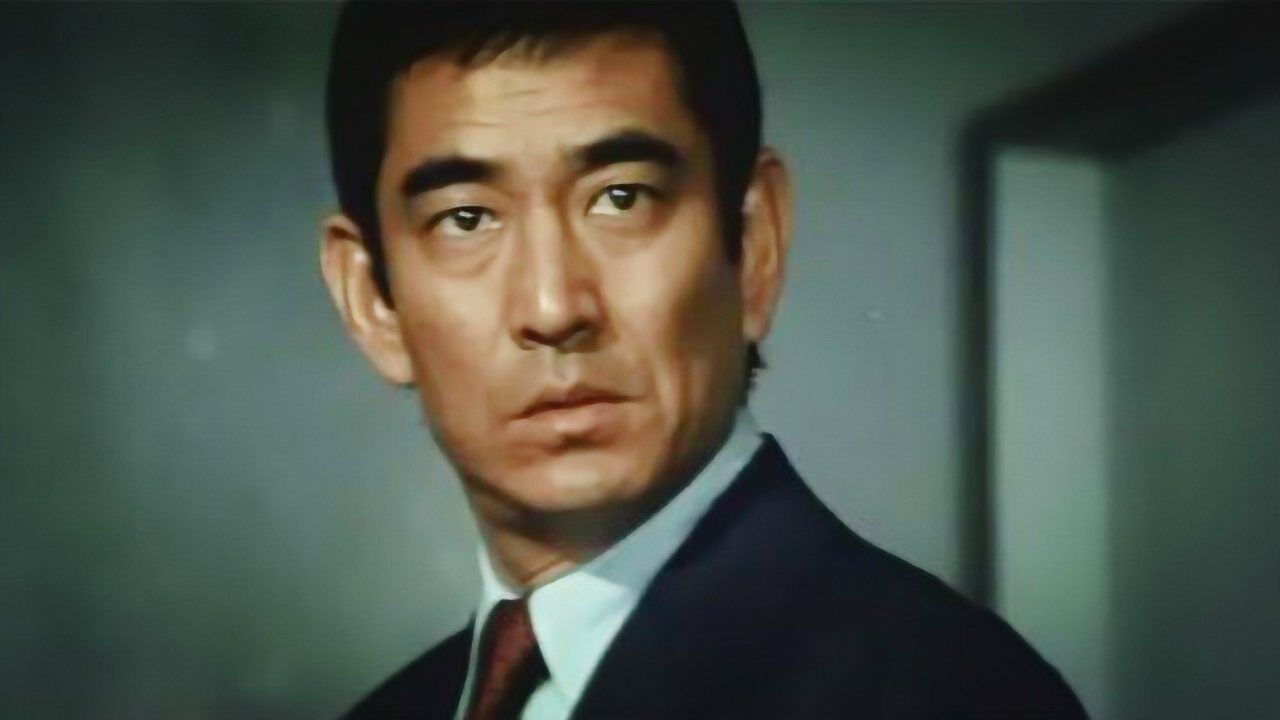 电影原声,高仓健,中野良子主演的电影《追捕》插曲