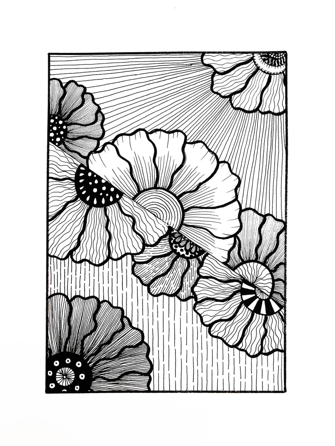 黑白插画装饰画花卉线描附过程图