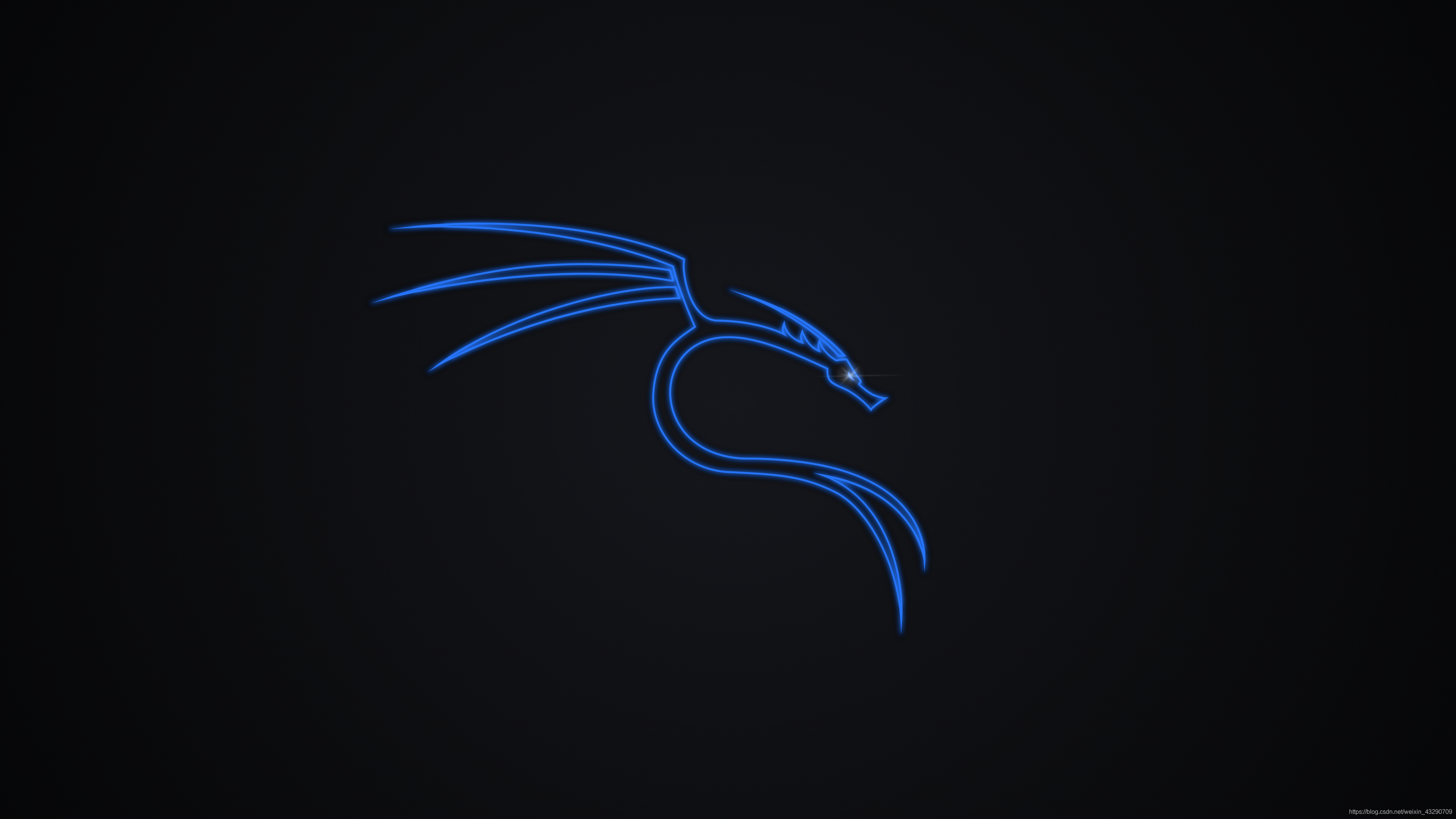 kali linux 2021壁纸