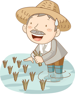 插秧的农民伯伯