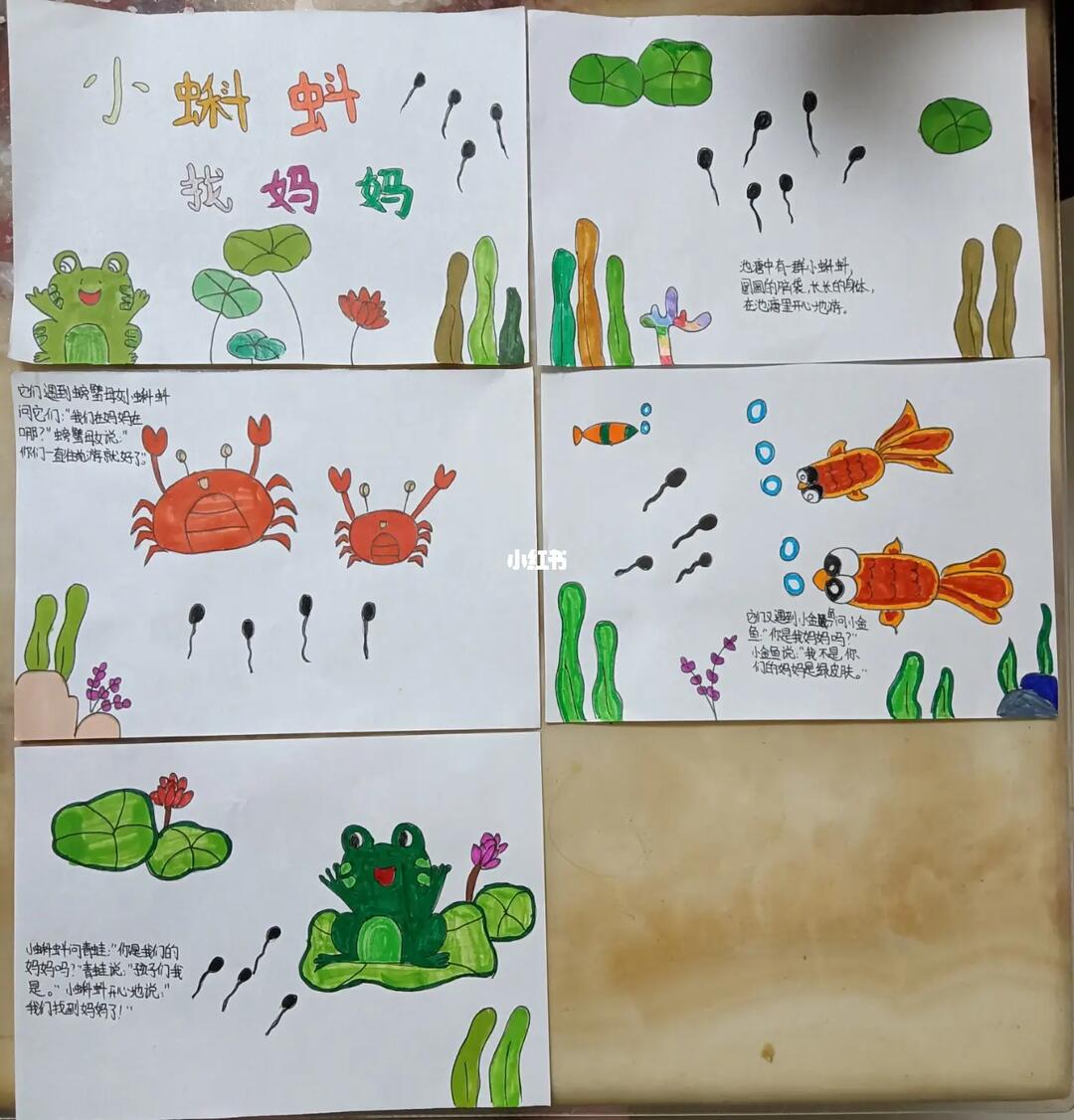 绘本小蝌蚪找妈妈