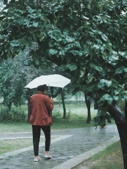 富士摄影擦肩而过的陌生人